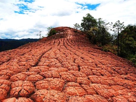 老君山黎明景区-丹霞地貌.jpg