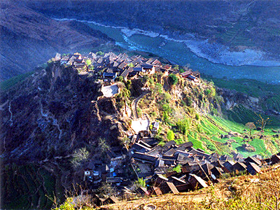 丽江宝山石头城-牛.jpg