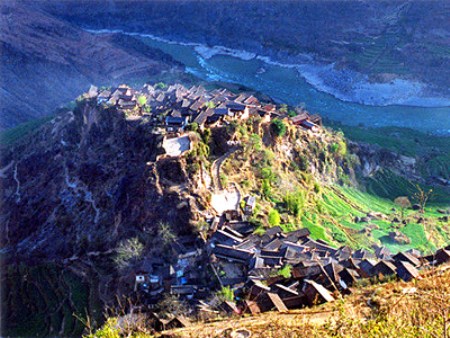 丽江宝山石头城-牛.jpg