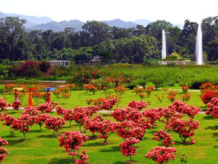 西双版纳热带植物园-美.jpg