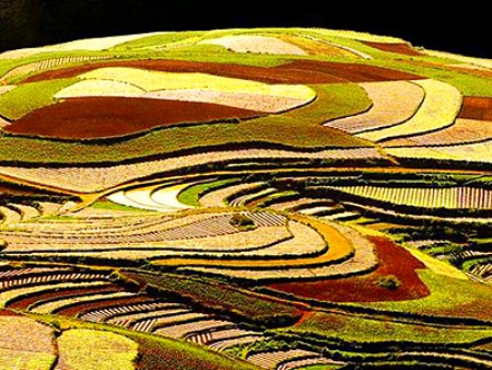 东川红土地-太美.jpg