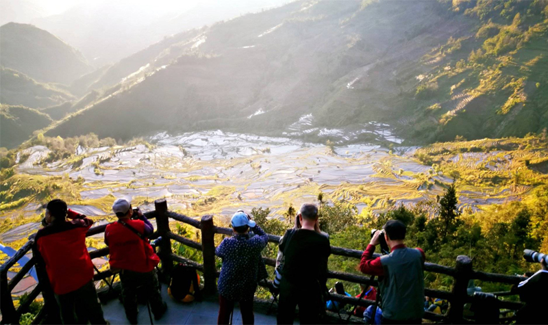 元阳梯田1.jpg