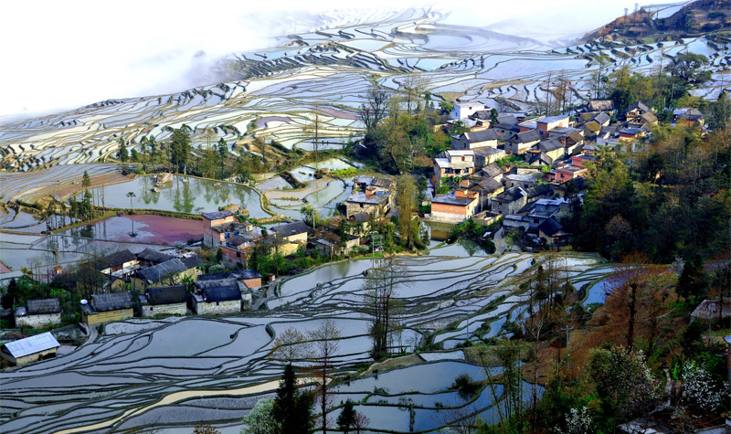 元阳梯田2.jpg