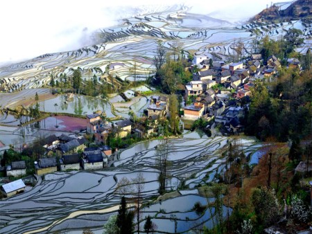 元阳梯田2.jpg