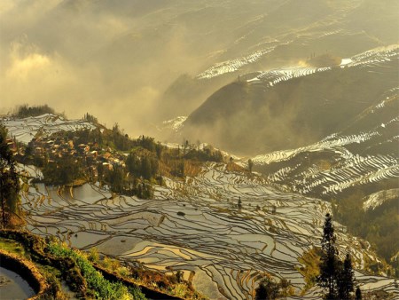 元阳梯田4.jpg