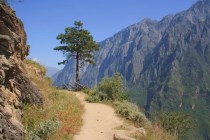 香格里拉旅游东环线：虎跳峡+白水台+哈巴雪山