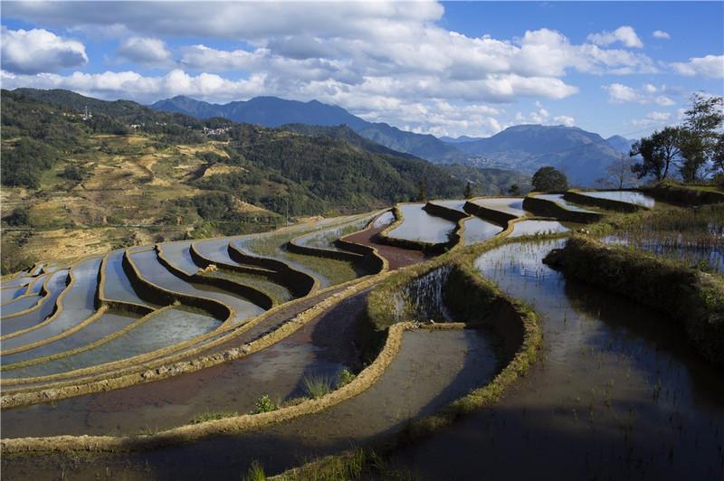 元阳哈尼梯田