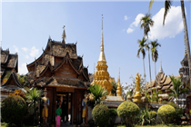 向往的旅行，始于西双版纳