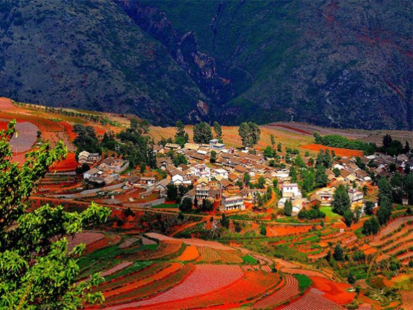 东川红土地2.jpg