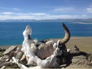 阿里A线：西藏阿里大北线“13日游”＜转神山圣湖，穿越诸神景仰的圣地！＞
