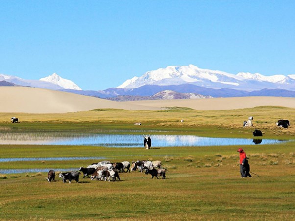 西藏拉萨2.jpg