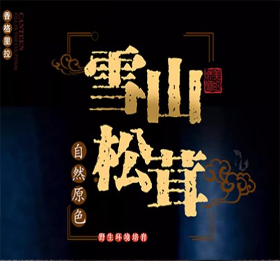 迪庆松茸2
